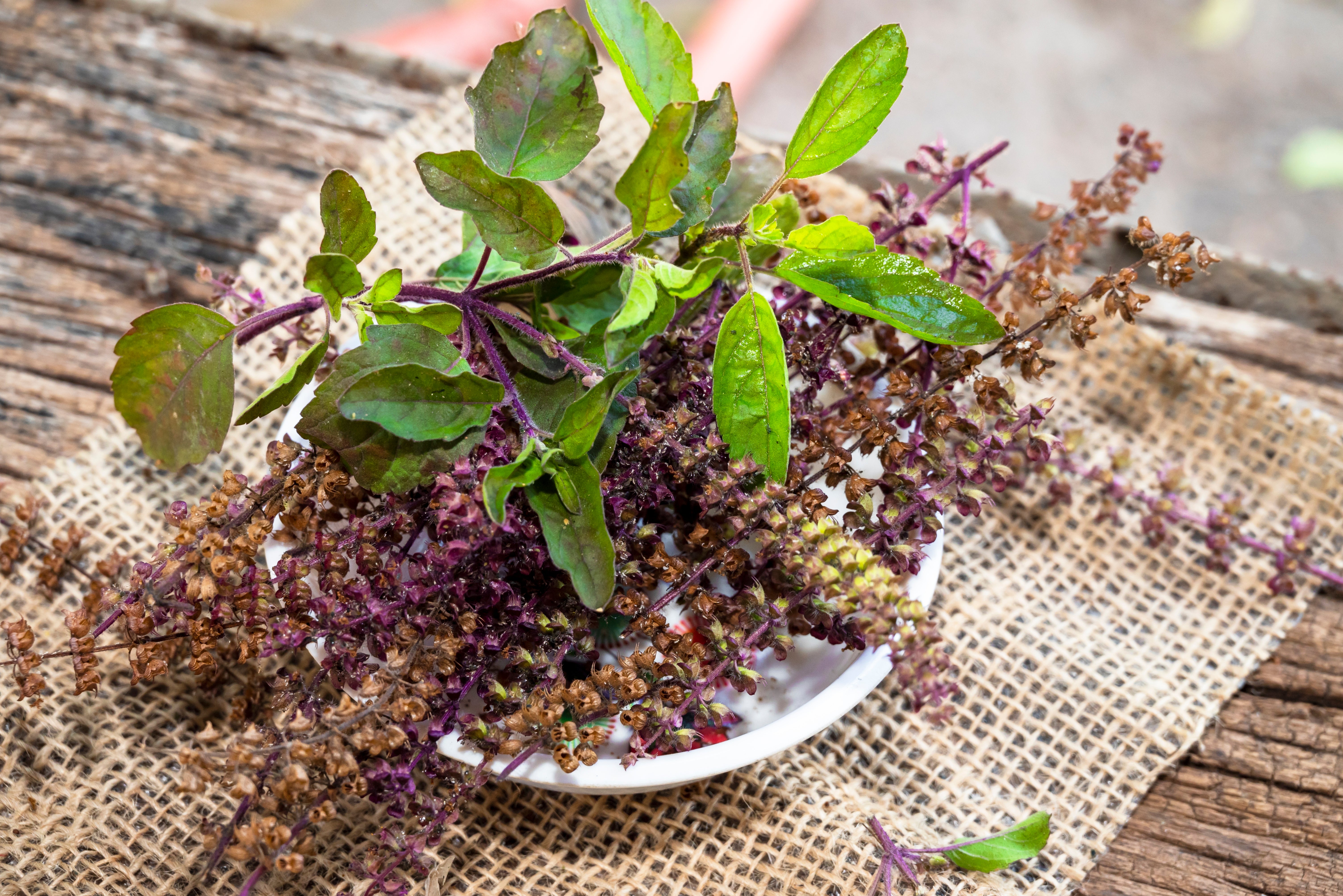 LaLumi Herbes
