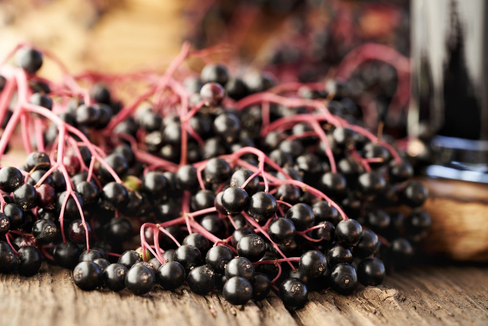 Image of Organic Elderberry Infused Local Honey