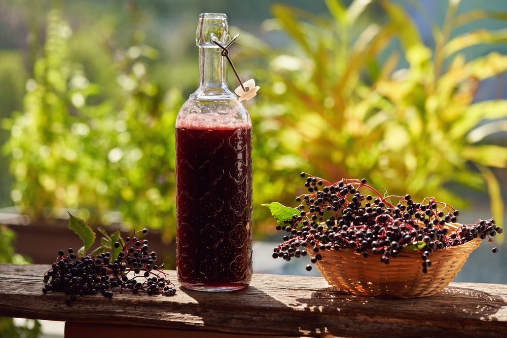 Image of Elderberry Syrup