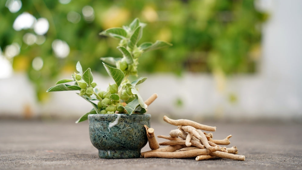 Image of Organic Ashwagandha Orange Elixir