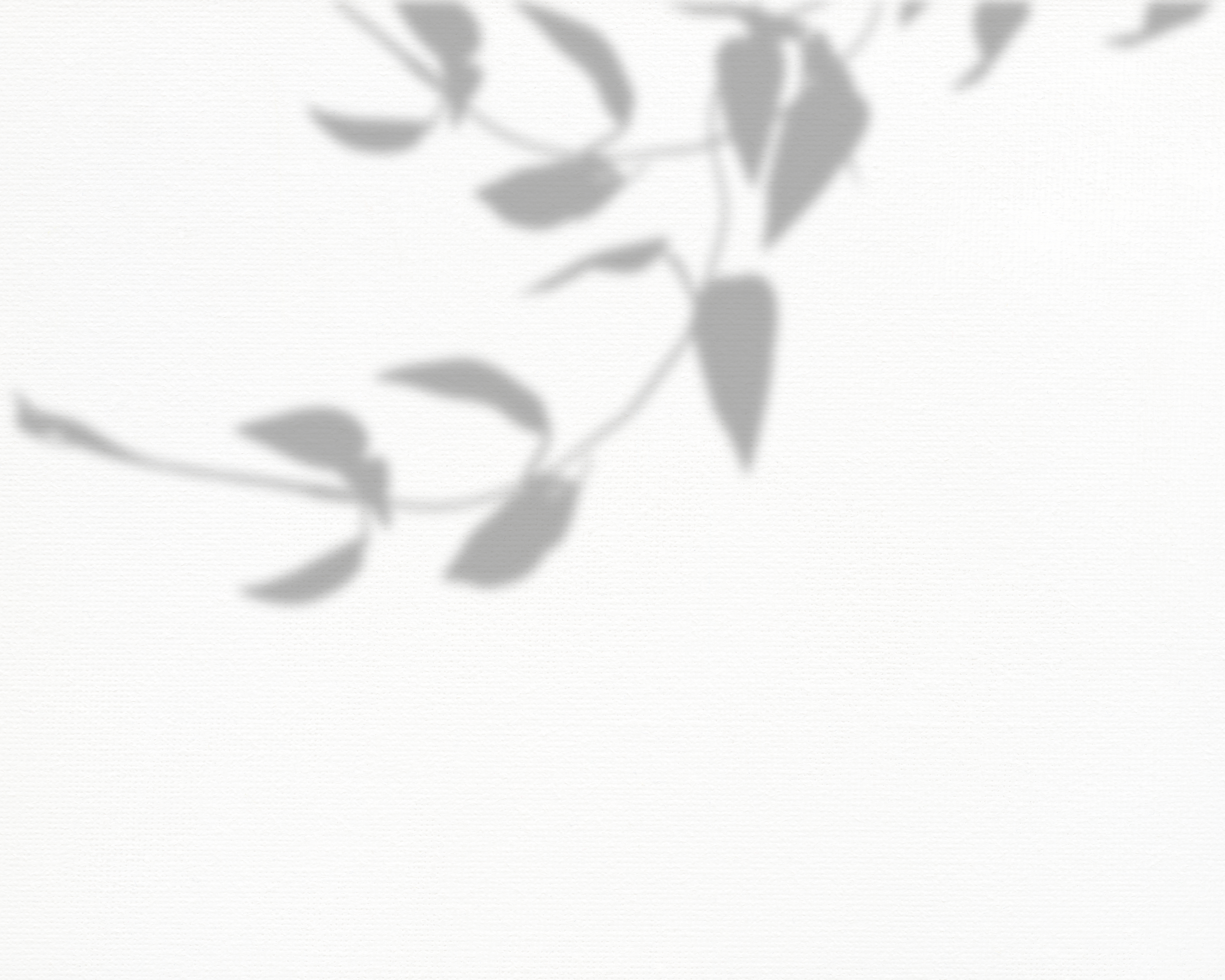 LaLumi Herbes