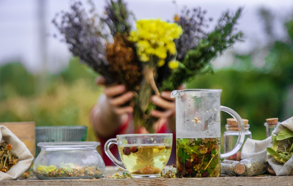 LaLumi Herbes