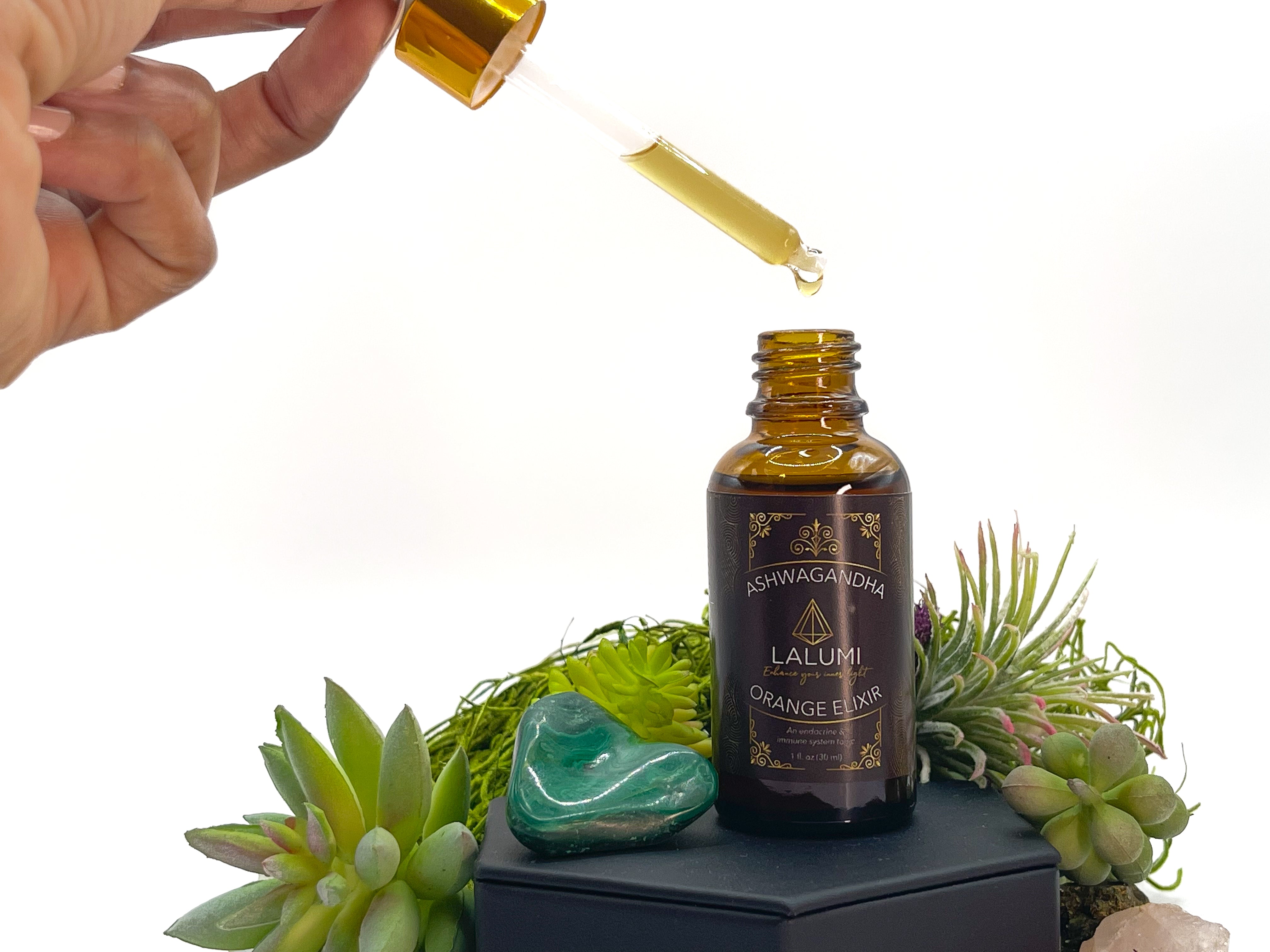 Image of 1 oz bottle of Organic Ashwagandha Orange Elixir by LaLumi Herbes with a dropper and succulents on a white background