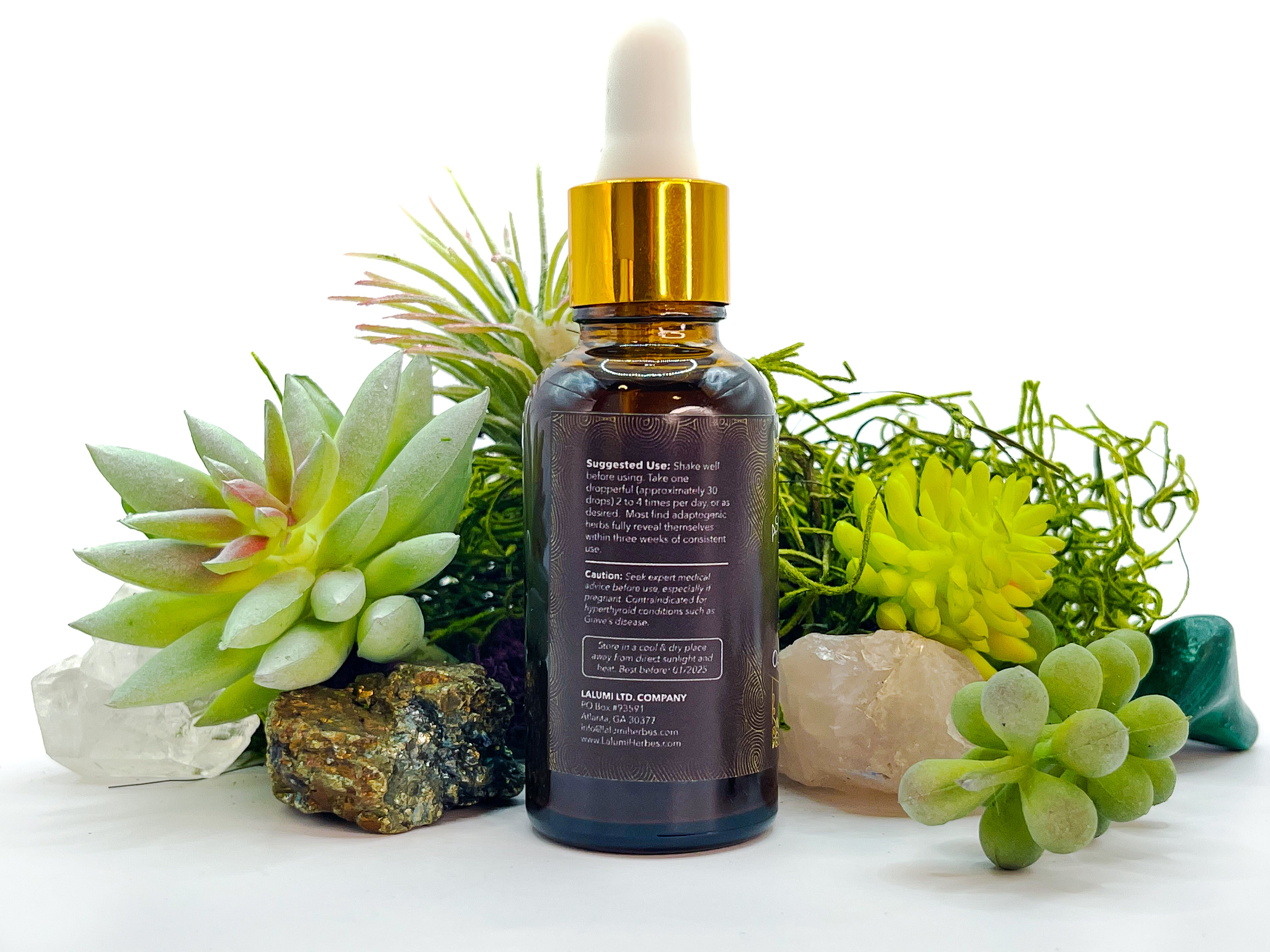 Image of Side view of 1 oz bottle of Organic Ashwagandha Orange Elixir by LaLumi Herbes with a dropper surrounded by succulents and decorative stones on a white background