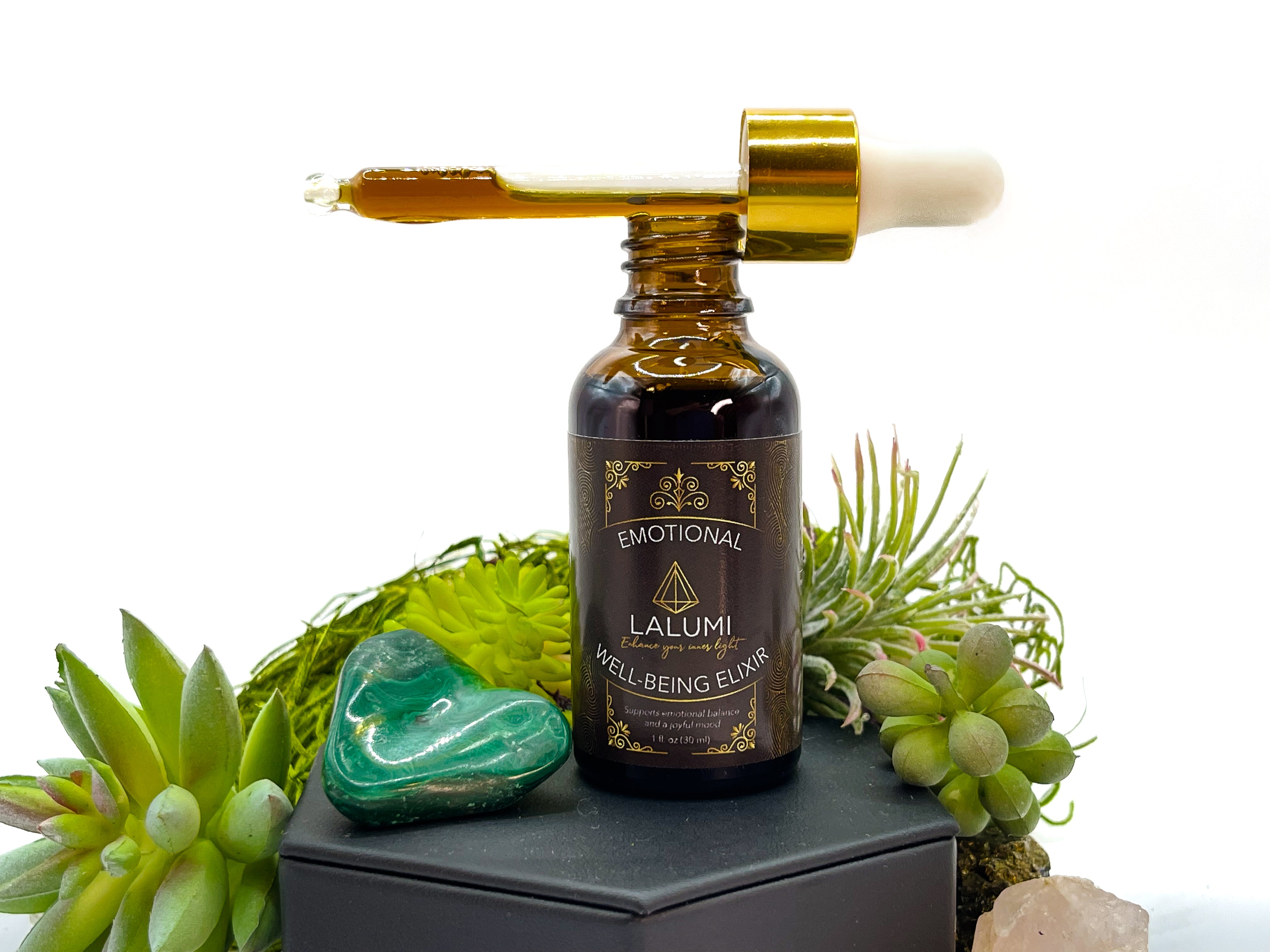 Image of 1 oz bottle of Emotional Well-Being Herbal Elixir by LaLumi Herbes with succulents on a white background, elevated