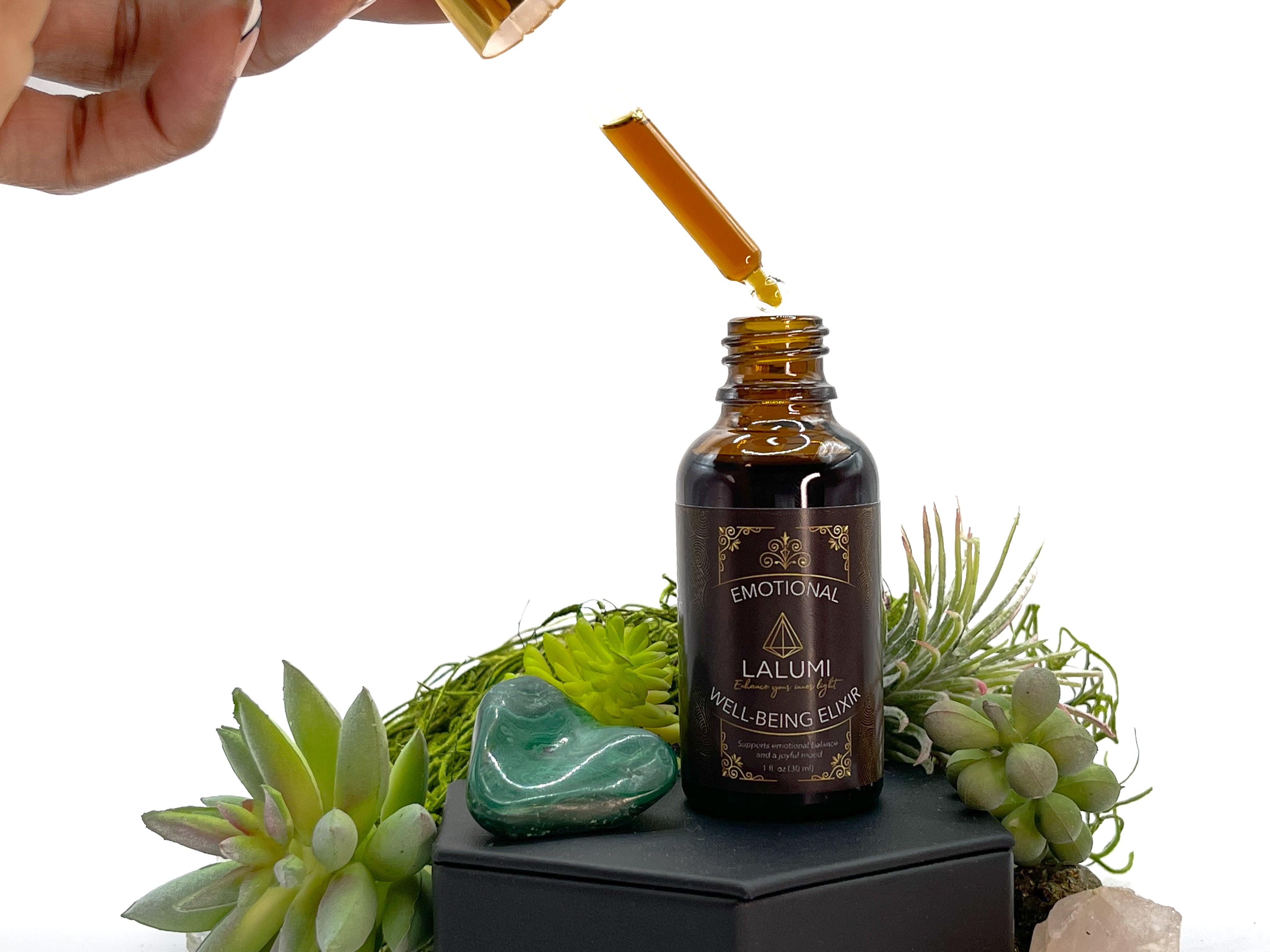 Image of 1 oz bottle of Emotional Well-Being Herbal Elixir by LaLumi Herbes with dropper and succulents on a white background