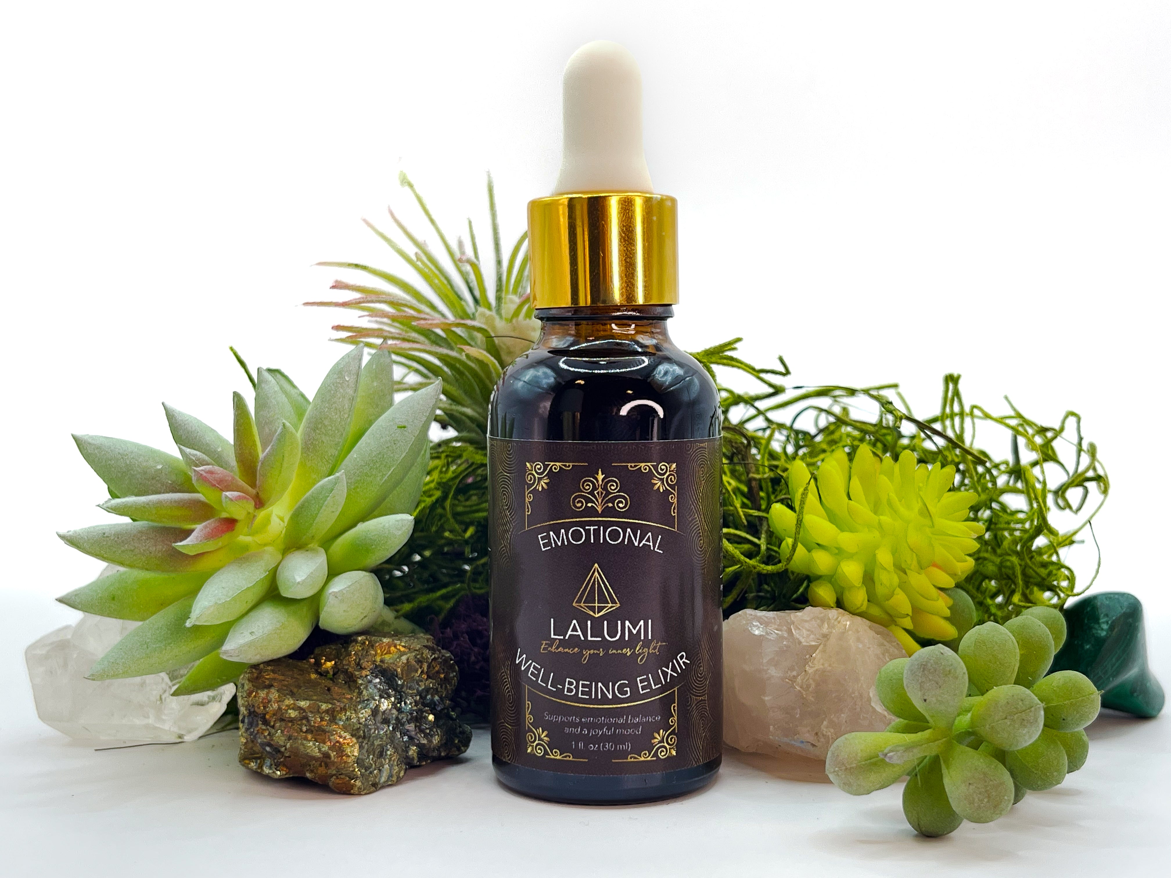 Image of 1 oz bottle of Emotional Well-Being Herbal Elixir by LaLumi Herbes dropper bottle with succulents and crystals on a white background