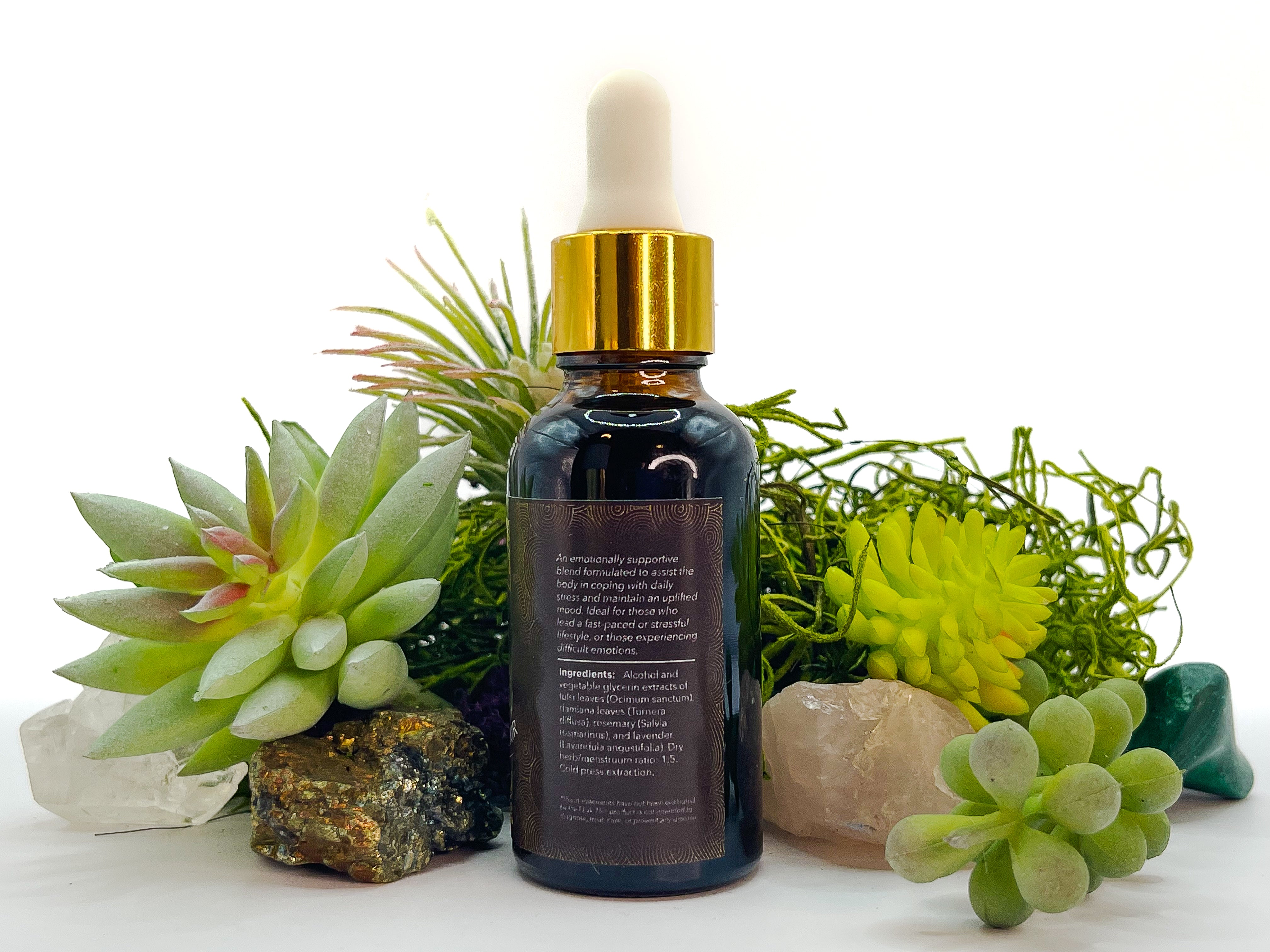 Image of Side view of 1 oz bottle of Emotional Well-Being Herbal Elixir by LaLumi Herbes with a dropper surrounded by succulents and decorative stones on a white background