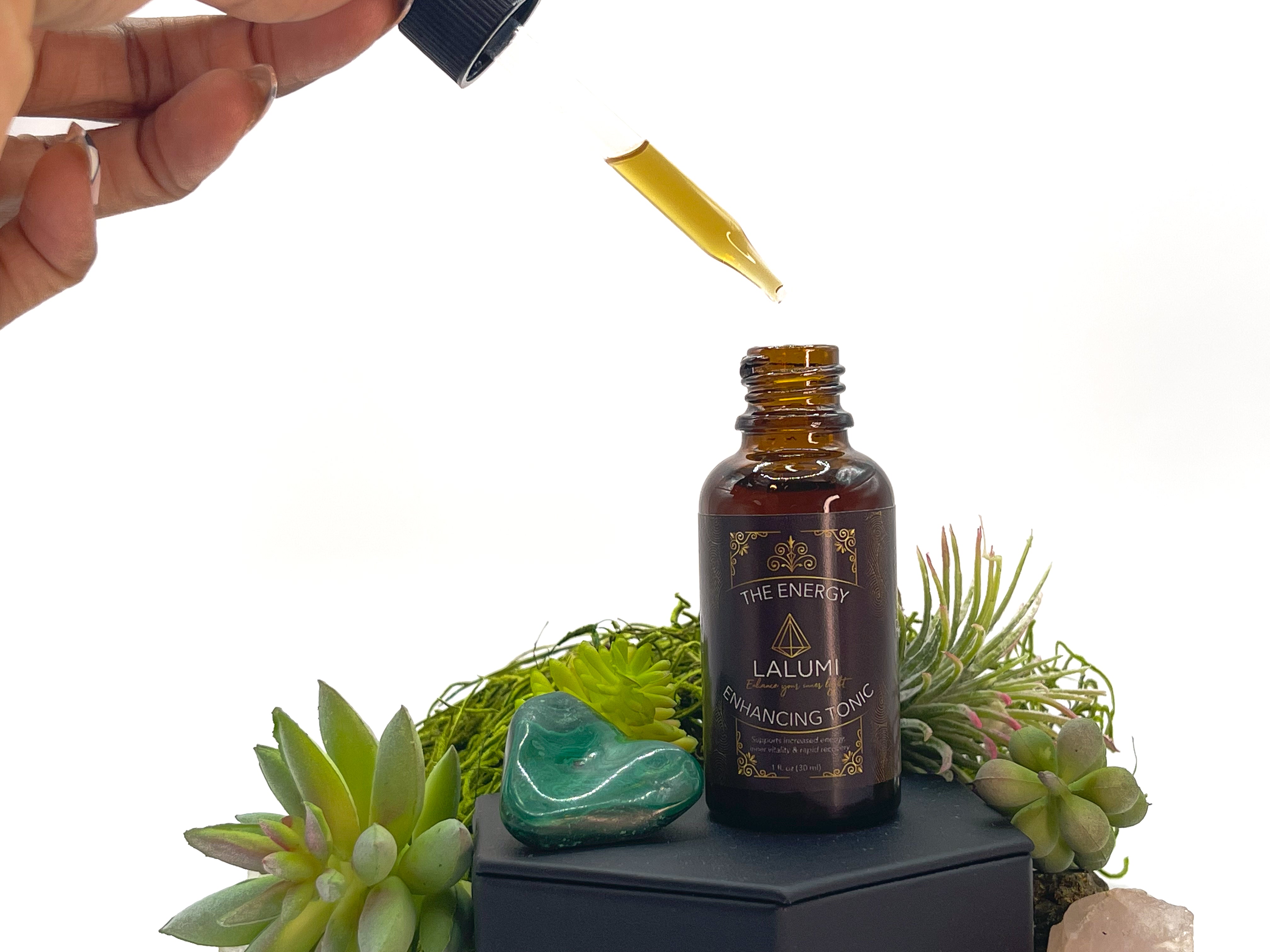 Image of 1 oz bottle of Energy-Enhancing Herbal Tonic by LaLumi Herbes with a dropper and succulent plants on a white background.